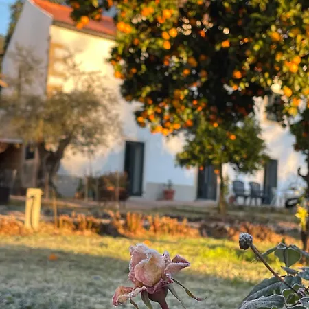 Casa Do Prado Konukevi 3*