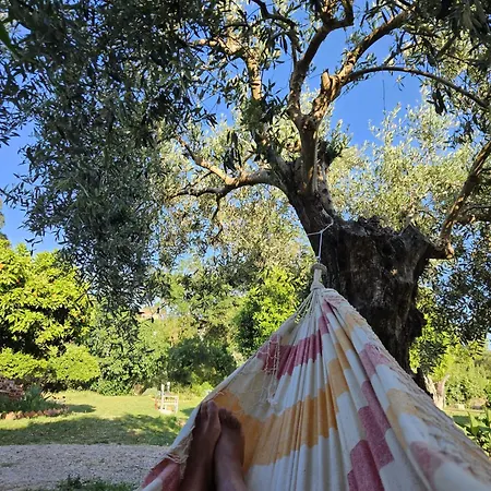 Konukevi Casa Do Prado Tomar