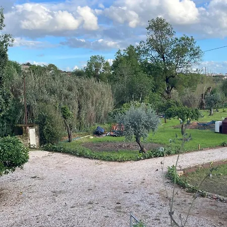 Casa Do Prado 3* 토마르