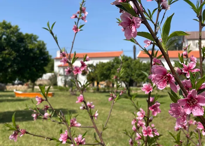 Casa Do Prado 3* Томар