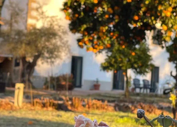 Casa Do Prado Guest house 3*