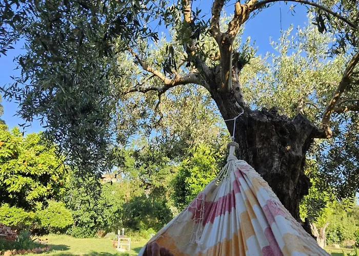 Casa de hóspedes Casa Do Prado Tomar